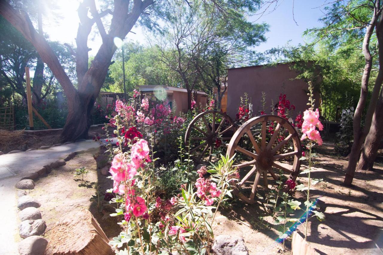 Hotel-Camping Takha Takha San Pedro De Atacama Zewnętrze zdjęcie